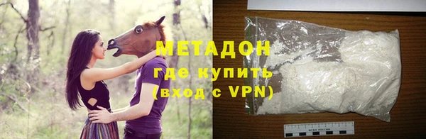 прущие грибы Бикин