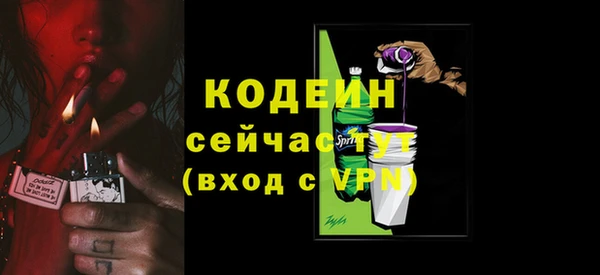 прущие грибы Бикин