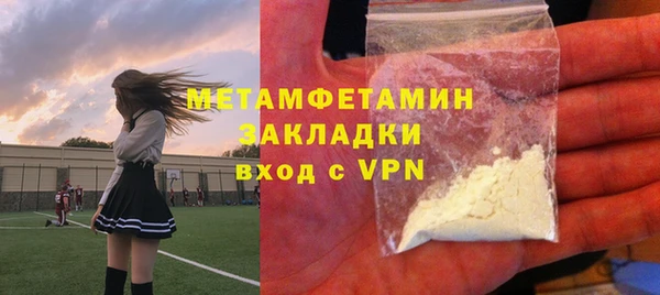 прущие грибы Бикин