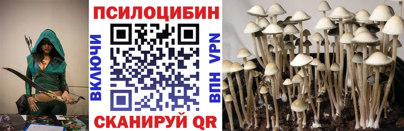 Галлюциногенные грибы Magic Shrooms  Энгельс 