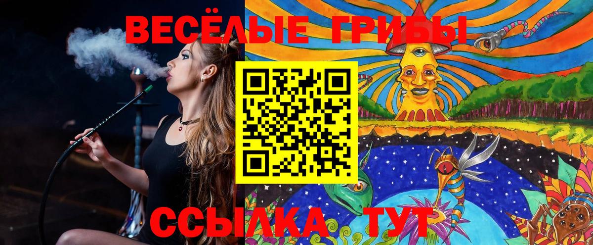 Псилоцибиновые грибы GOLDEN TEACHER  Энгельс  Псилоцибиновые грибы GOLDEN TEACHER 