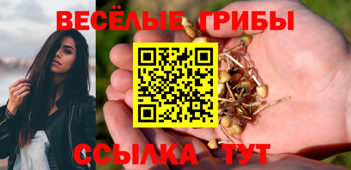 Энгельс  Галлюциногенные грибы Magic Shrooms  Вход с VPN 